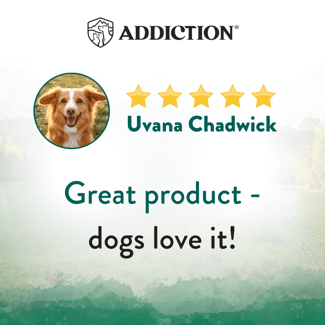 Product review with a dog's face, five-star rating, and reviewer name on a blurred natural background.