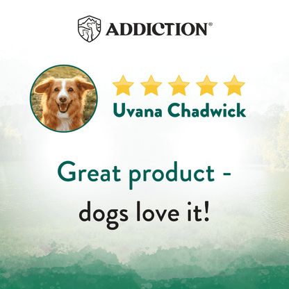 Product review with a dog's face, five-star rating, and reviewer name on a blurred natural background.