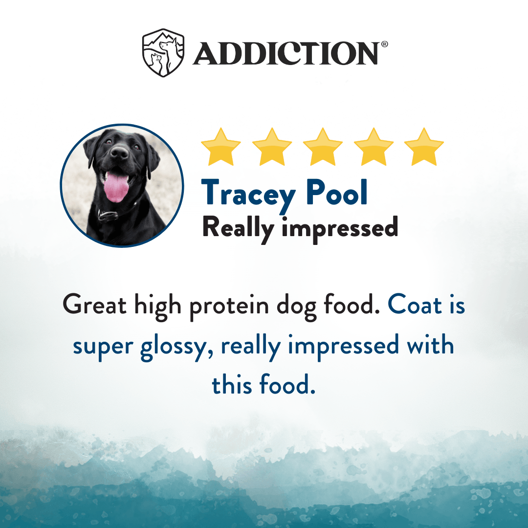 Product review with a dog and five-star rating on a white background