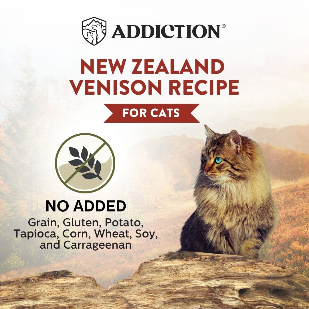 Cat sitting on a rock with 'Addiction' cat food packaging featuring New Zealand Venison recipe.