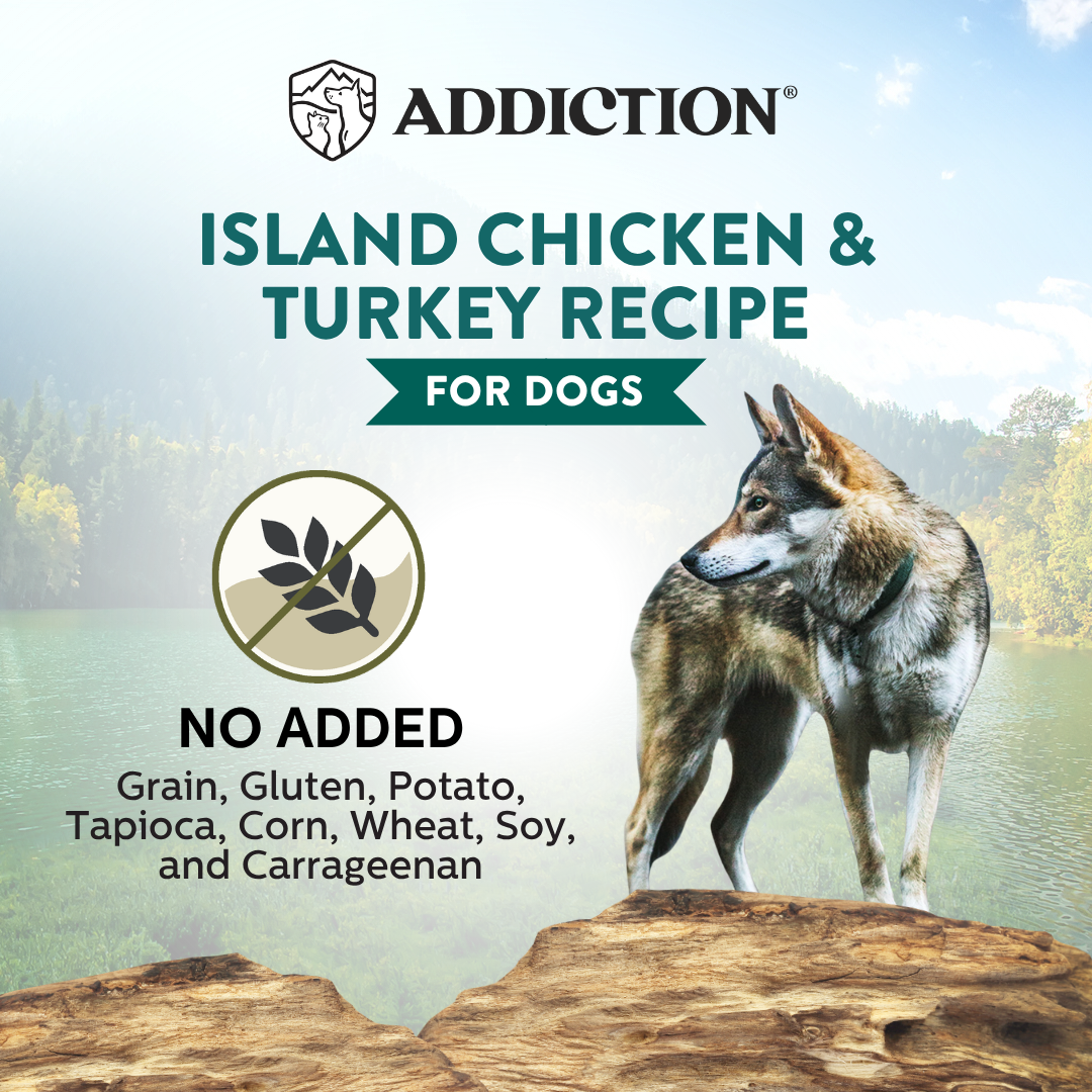 Dog food product advertisement with a wolf by a lake, featuring 'Addiction' brand and 'Island Chicken & Turkey Recipe' for dogs.