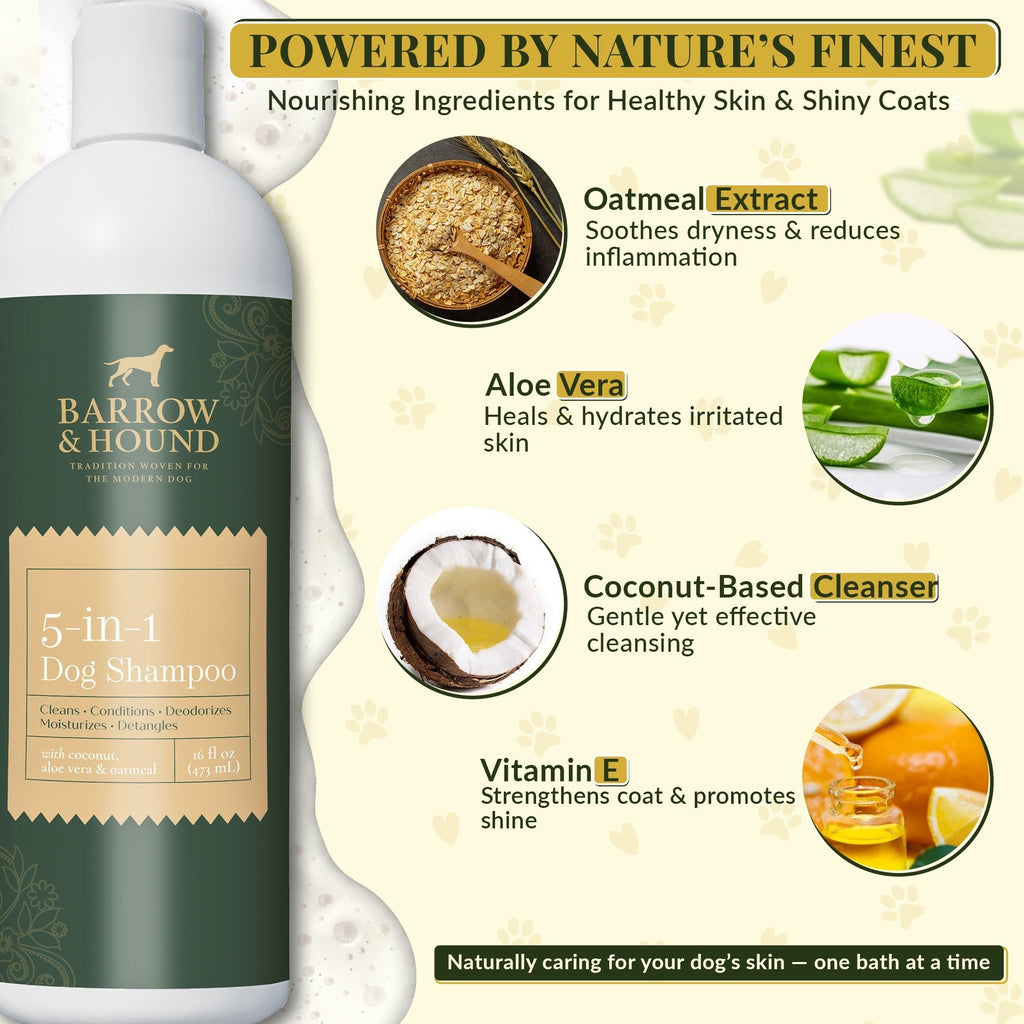 Barrow & Hound 5-in-1 Dog Shampoo bottle with ingredients listed on a light background