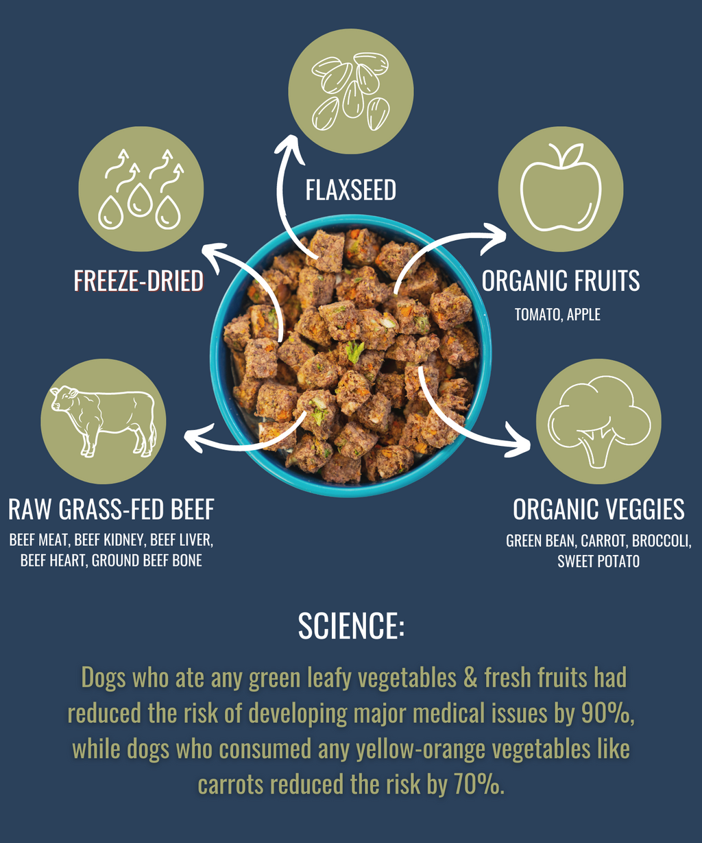 Dog food bowl with ingredients labeled on a blue background
