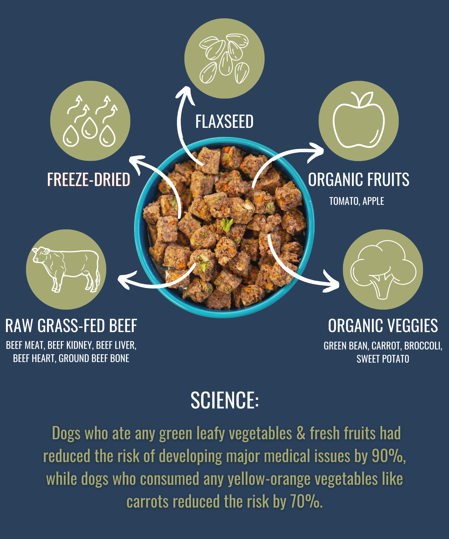 Dog food bowl with ingredients labeled on a blue background