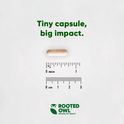 Small capsule with a ruler for scale and 'Rooted Owl' branding on a white background