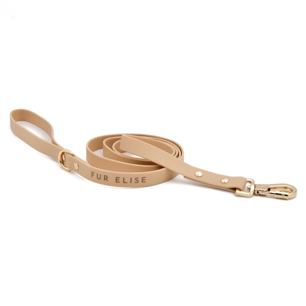 Beige dog leash with gold clasp on a white background