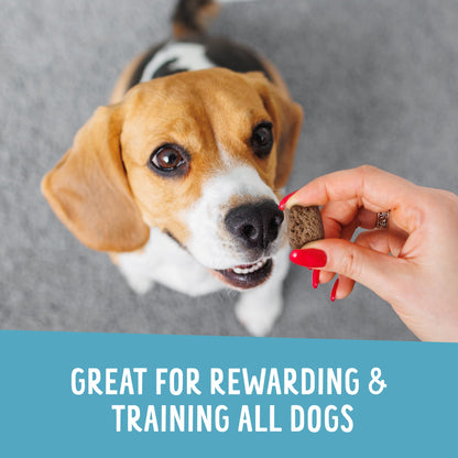 Dog being offered a treat by a hand with text 'Great for rewarding & training all dogs' on a gray background