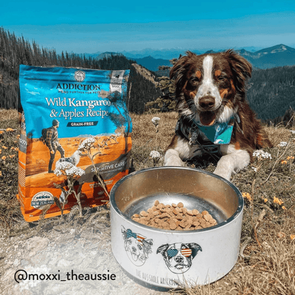 Dog with a bowl of food and a bag of Addiction Wild Kangaroo & Apple recipe dog food in a natural setting.