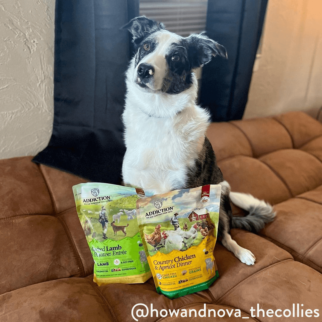 Perfect Summer Brushtail Air-Dried Dog Food package, product photo 9 of 13