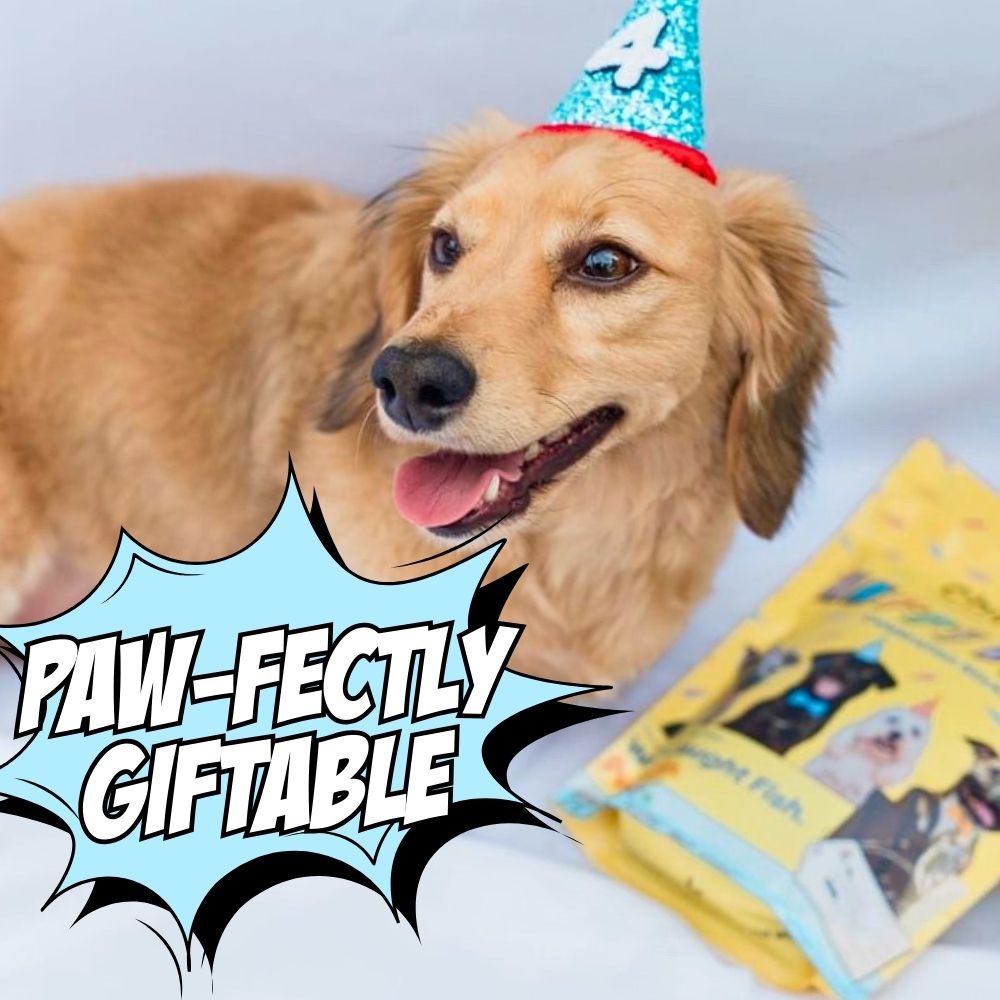 Dog wearing a party hat with a product package in the foreground, text 'PAW-FECTLY GIFTABLE' on a light blue background.