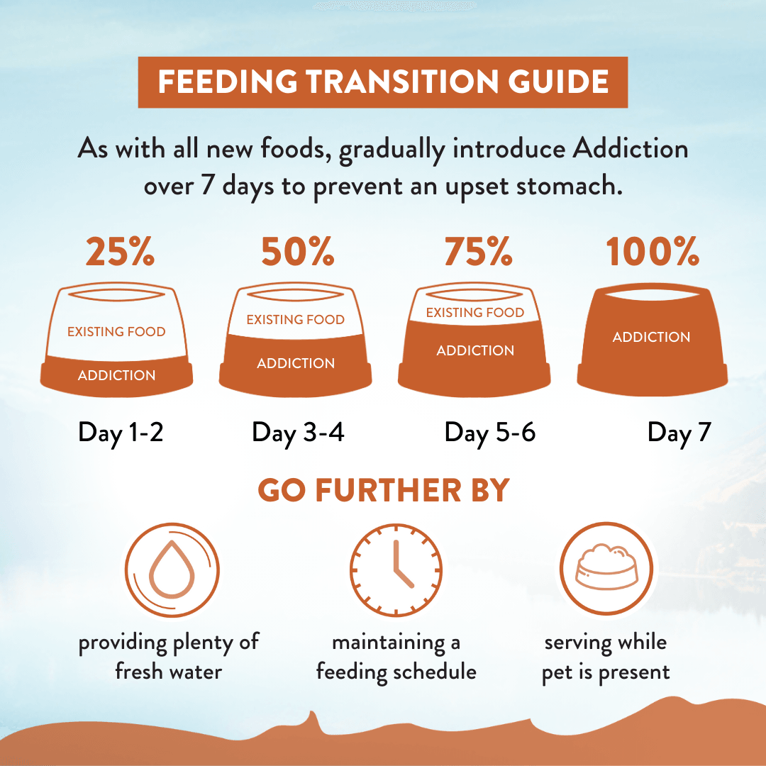 Feeding transition guide for introducing 'addiction' over 7 days with corresponding actions.
