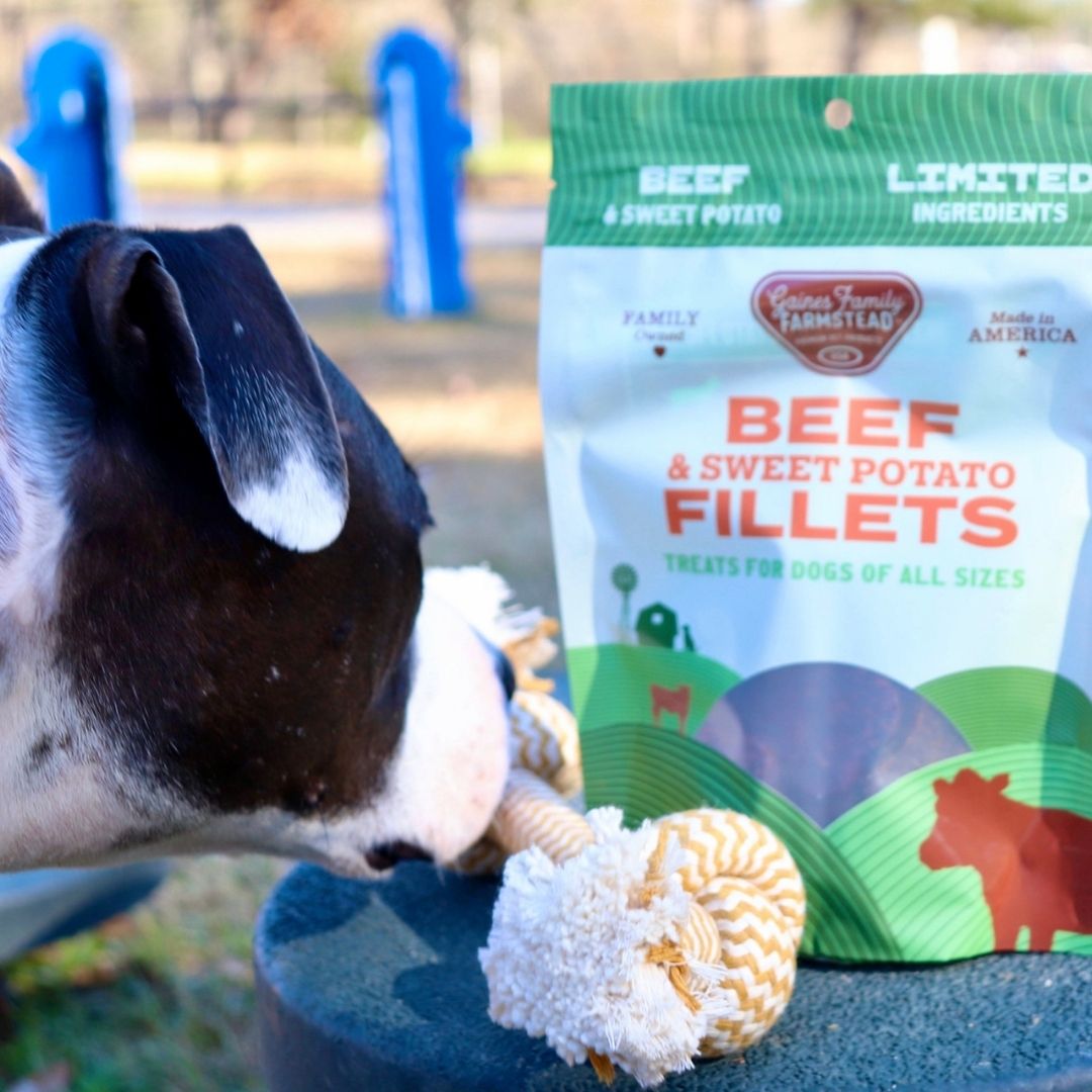 Dog with a package of 'Beef & Sweet Potato Fillets' treats outdoors.