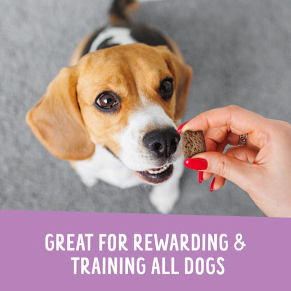 Dog being offered a treat by a hand with text about rewarding and training dogs.