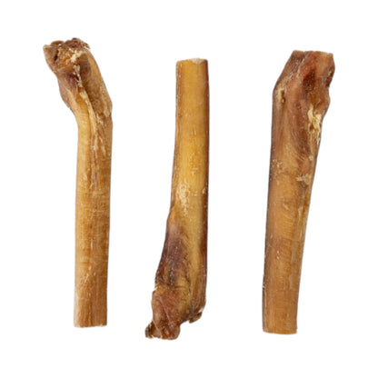 Jumbo 6 inch bully stick held to show its extra thickness against a plain backdrop