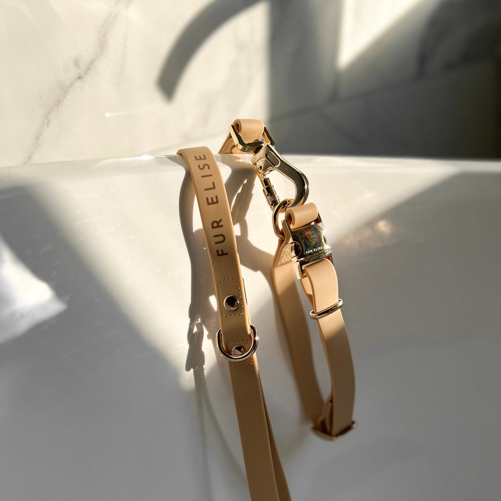 Gold dog collar with 'FUR ELISE' branding on a light background