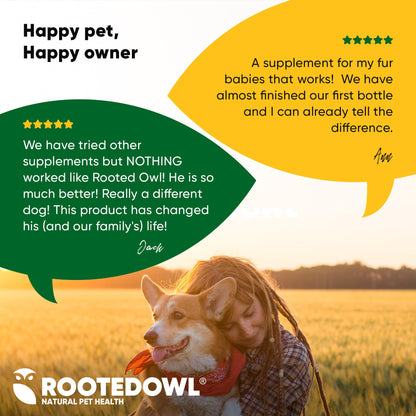 Person hugging a dog with text about Rooted Owl supplement in a field, featuring the Rooted Owl logo.