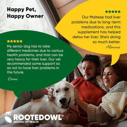 Couple with a dog, promotional text for Rooted Owl Natural Pet Health, featuring customer testimonials.
