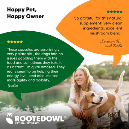 Woman with dog by a lake, promotional text for Rooted Owl natural pet health supplement.