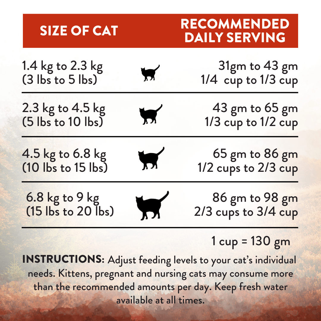 Cat food serving size chart with recommended daily servings for different cat weights.