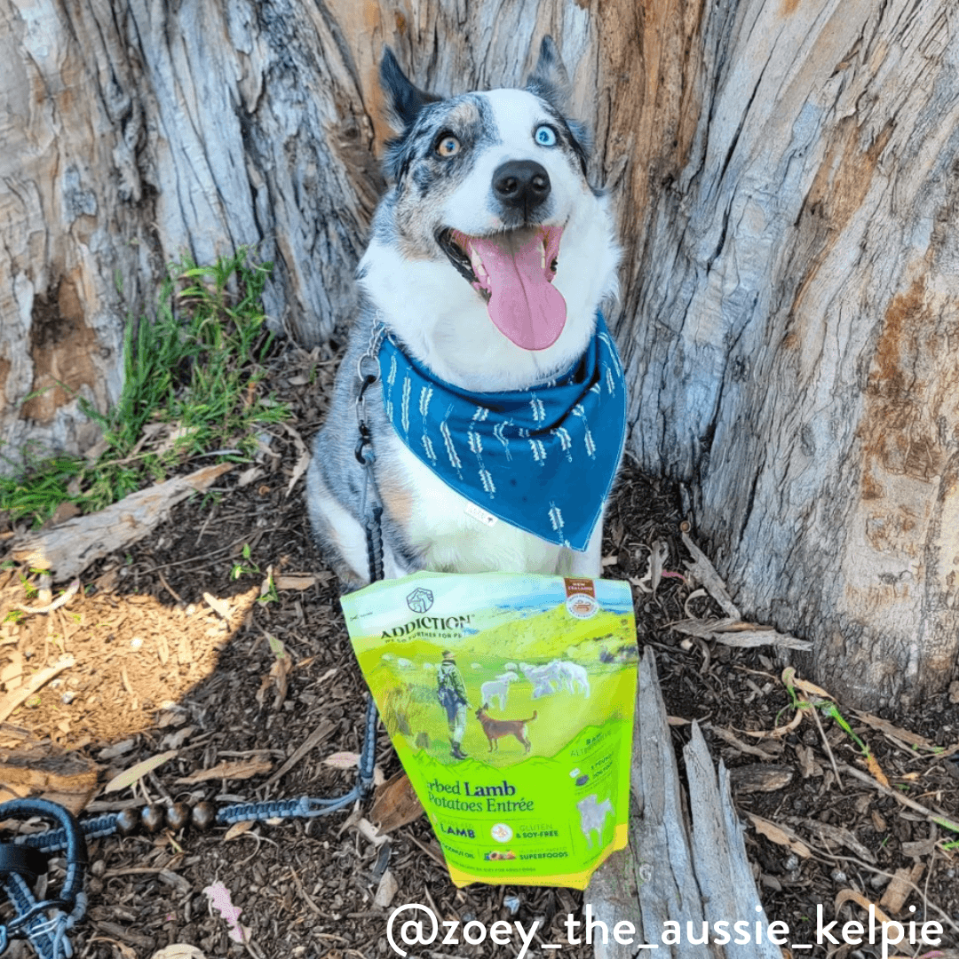 Herbed Lamb & Potatoes Air-Dried Dog Food package, product photo 9 of 15