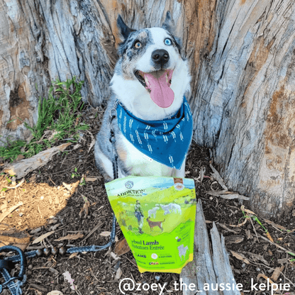 Herbed Lamb & Potatoes Air-Dried Dog Food package, product photo 9 of 15