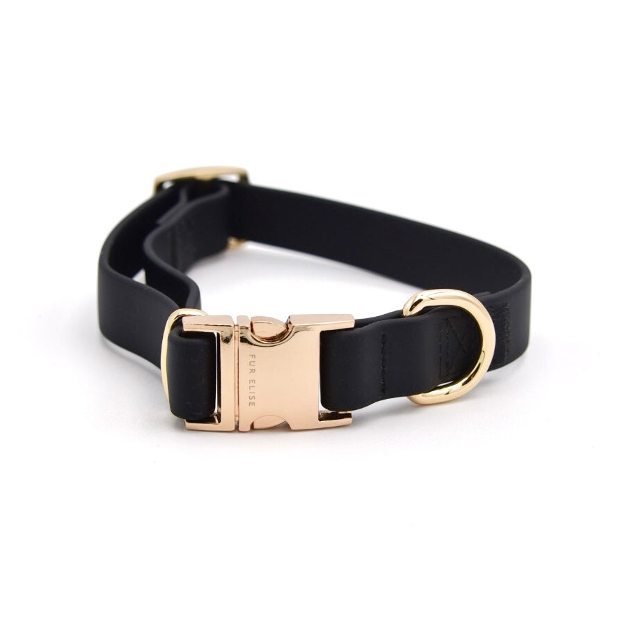 Black dog collar with gold buckle on a white background