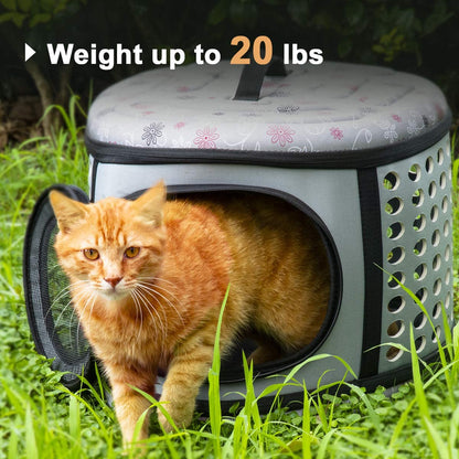 Cat standing in a pet carrier with grass in the background