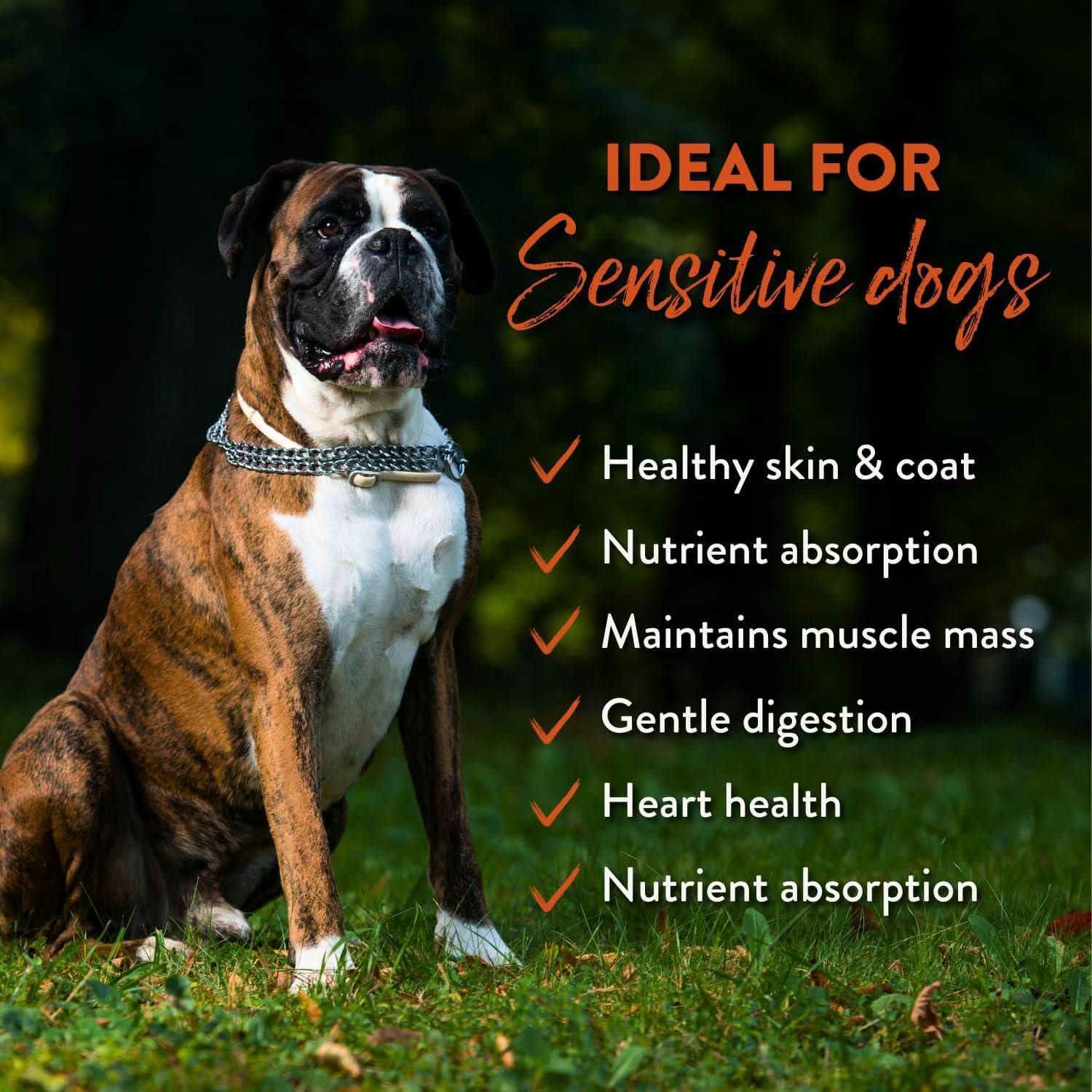 Dog sitting on grass with text about ideal benefits for sensitive dogs