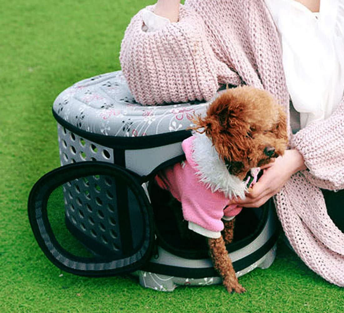 Person holding a small dog in a pink outfit next to a laundry basket on grass