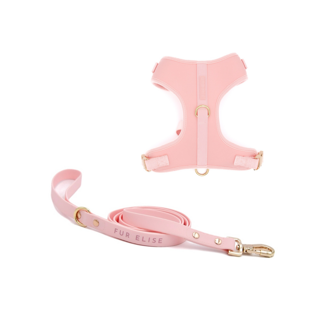 Pink dog harness and leash set with 'FUR ELISE' branding on a white background
