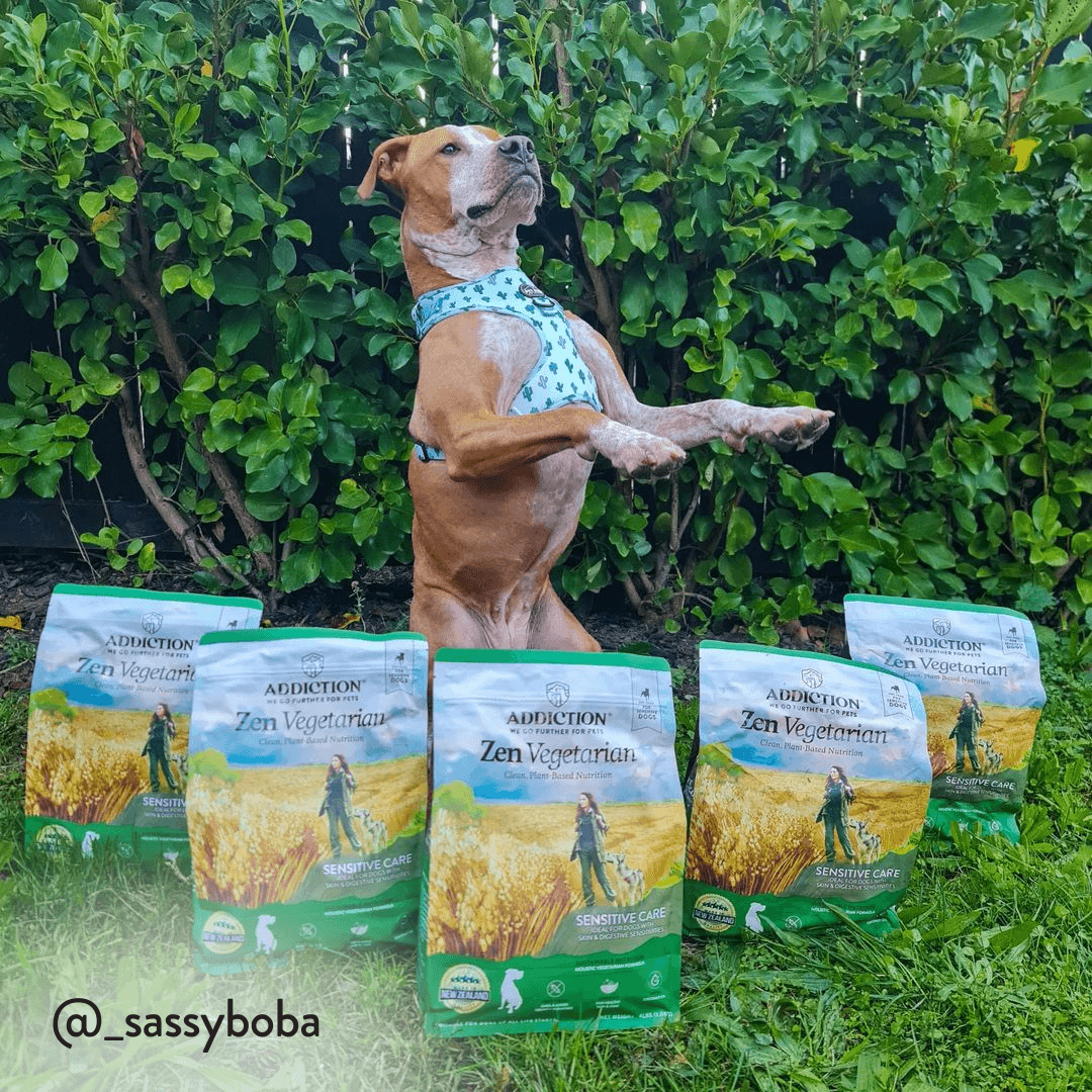 Dog standing on its hind legs with Adoration Pet Food packages in front, against a green bush background.