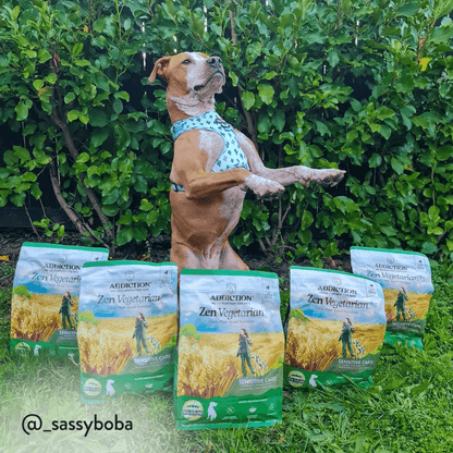 Dog standing on its hind legs with Adoration Pet Food packages in front, against a green bush background.