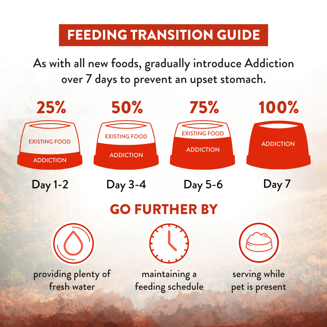 Feeding transition guide for 'Addiction' over 7 days with corresponding actions.
