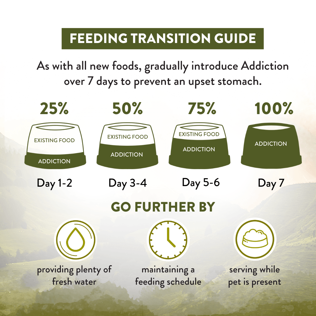 Feeding transition guide for introducing a new food to pets over 7 days with corresponding icons and text.
