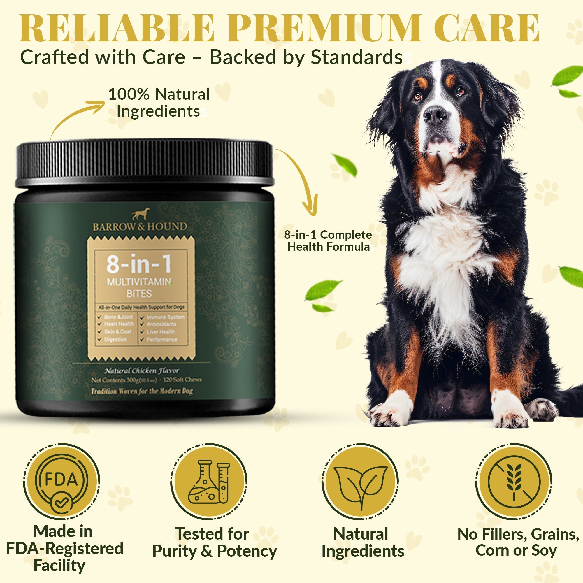 Dog supplement product with a dog and branding elements on a light background