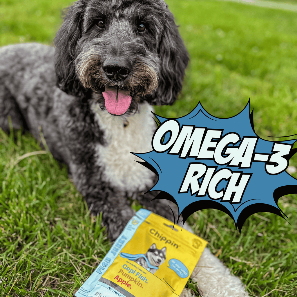 Dog lying on grass with a package of Chippin dog food, featuring 'Omega-3 Rich' text.