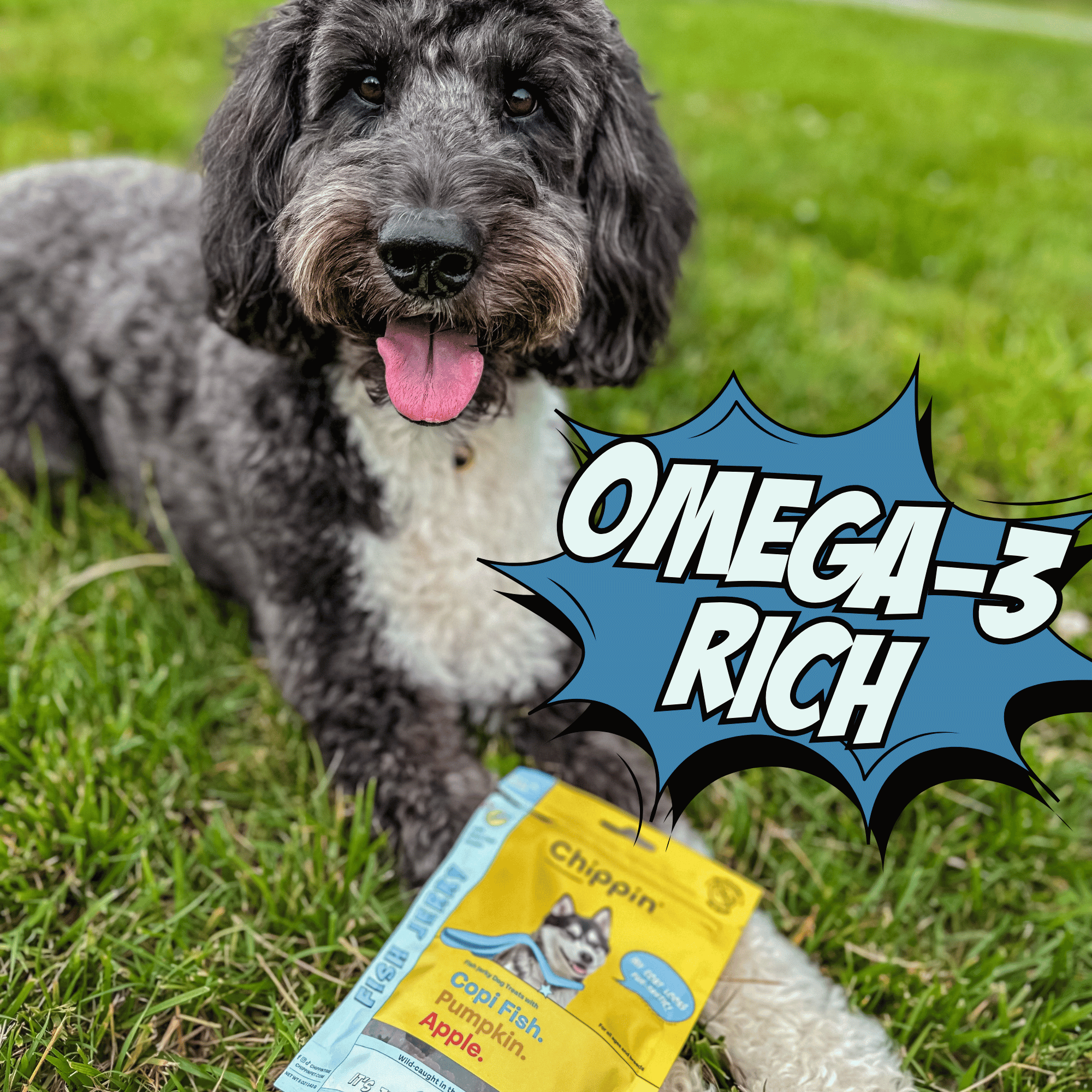 Dog lying on grass with a package of Chippin dog food, featuring 'Omega-3 Rich' text.