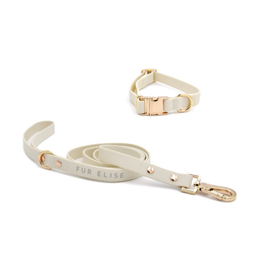 Dog collar and leash set with 'Fur Elise' branding on a white background