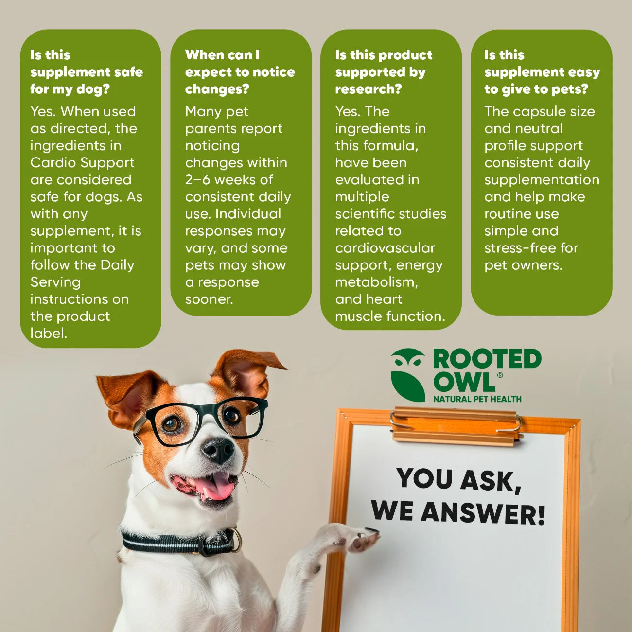 Dog wearing glasses with a whiteboard and 'Rooted Owl' branding on a beige background