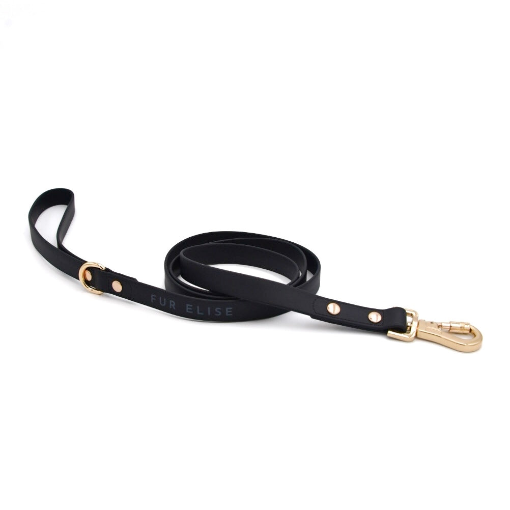 Black dog leash with gold hardware on a white background