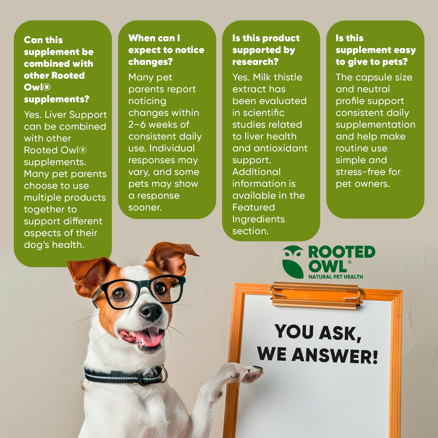 Dog with glasses holding a sign with 'Rooted Owl' brand, surrounded by informational text boxes.