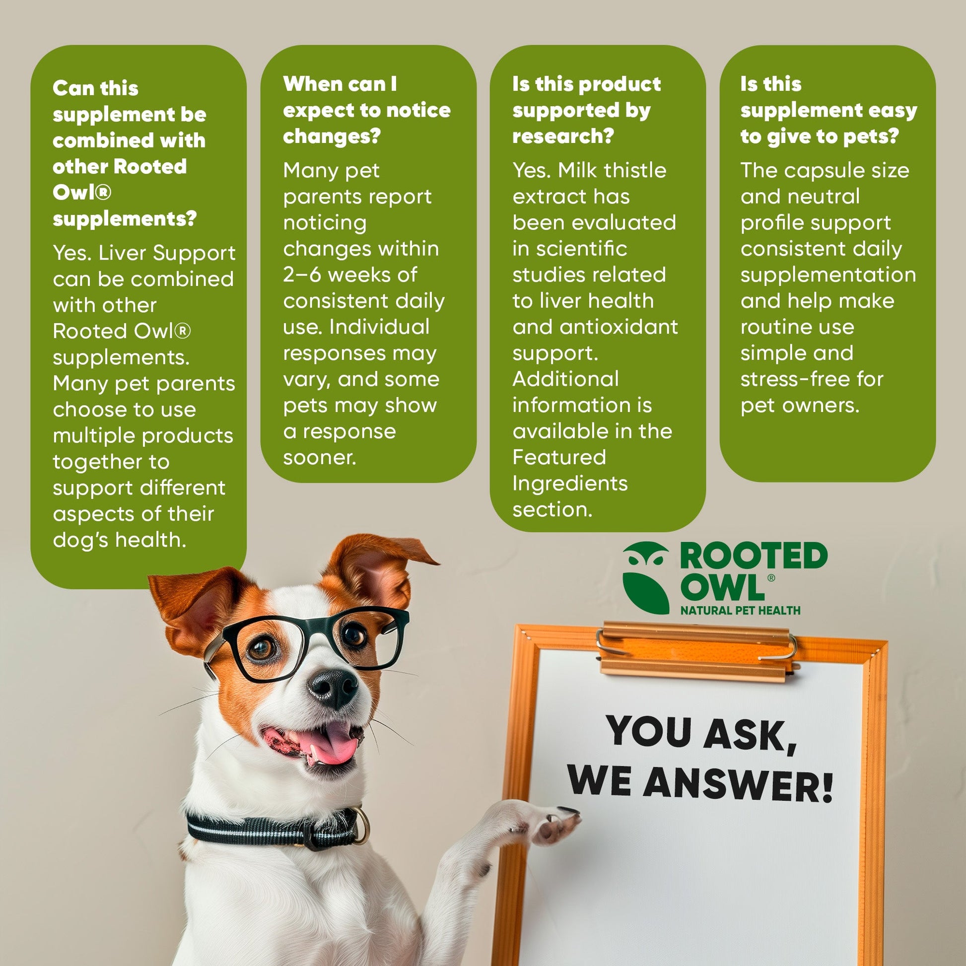 Dog with glasses holding a sign with 'Rooted Owl' brand, surrounded by informational text boxes.