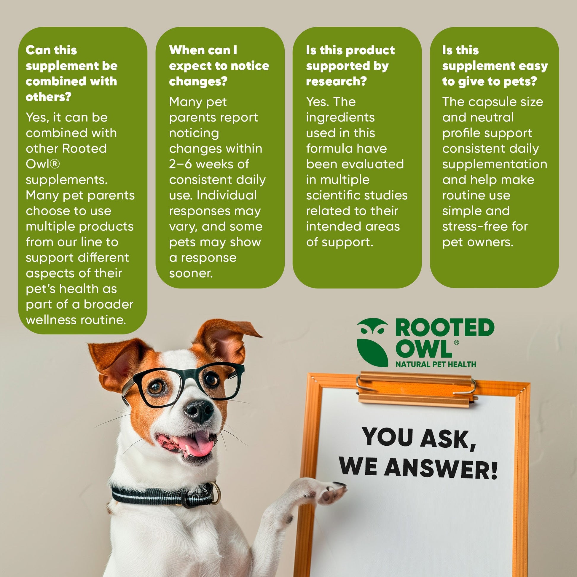 Dog with glasses holding a sign with 'Rooted Owl' on a beige background