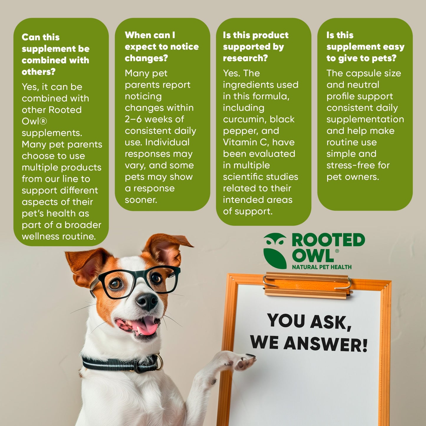 Dog wearing glasses with a whiteboard and 'Rooted Owl' branding