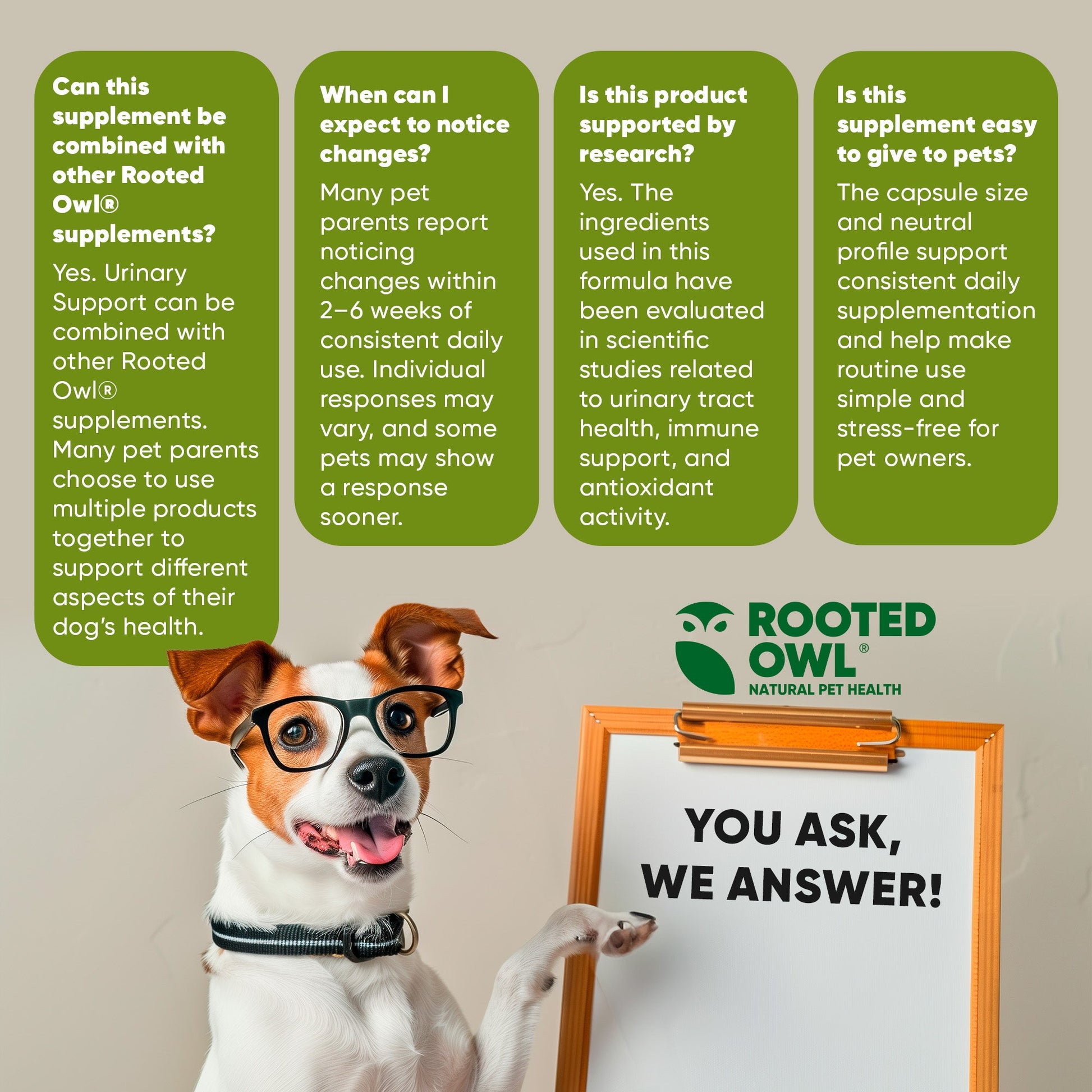 Dog wearing glasses with a whiteboard and 'Rooted Owl' branding on a beige background