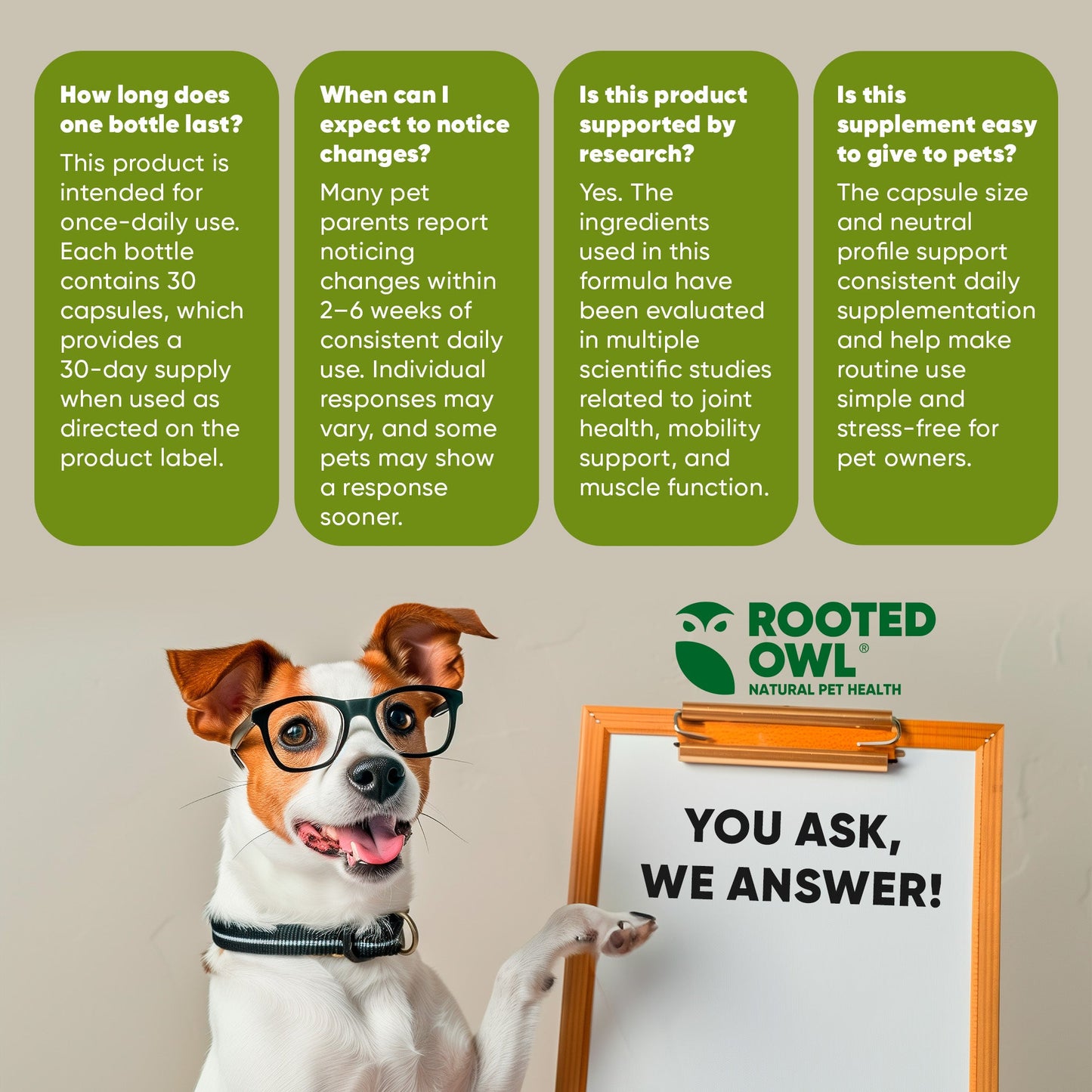 Dog with glasses holding a sign with 'Rooted Owl' and product information.