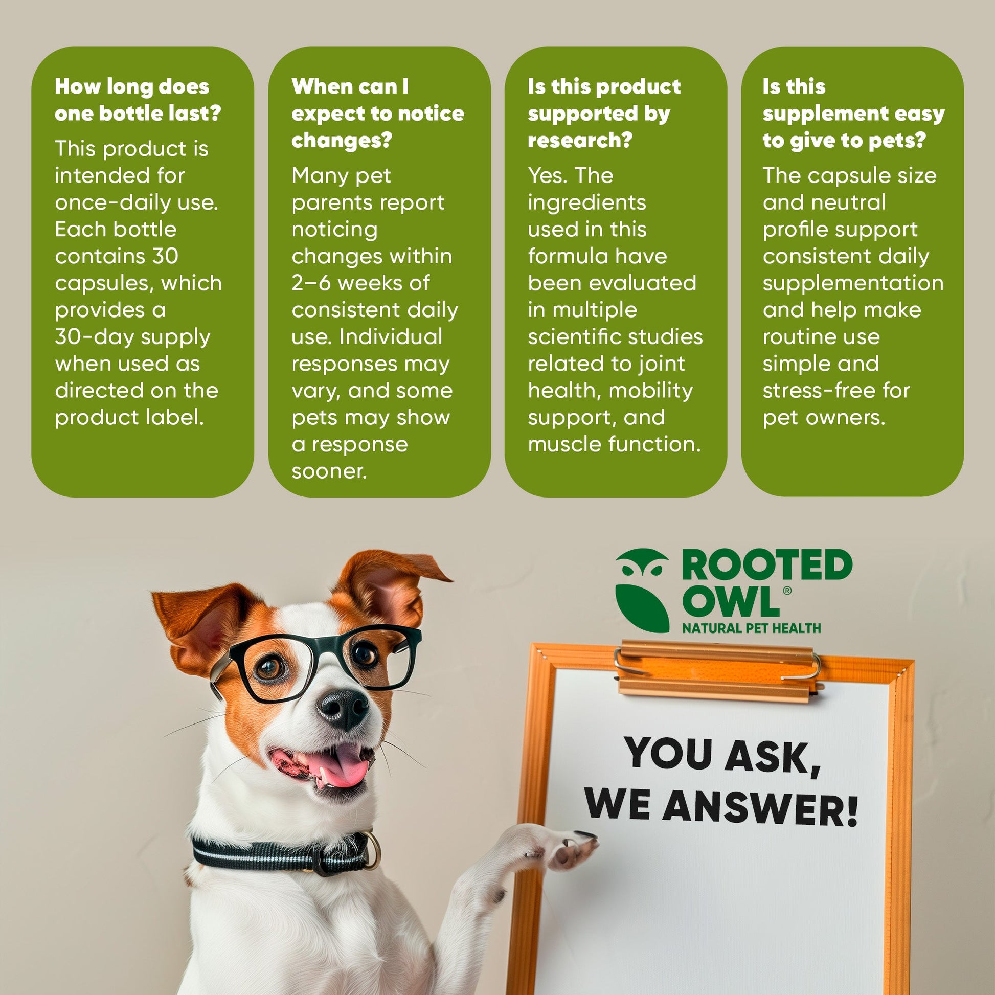 Dog with glasses holding a sign with 'Rooted Owl' and product information.