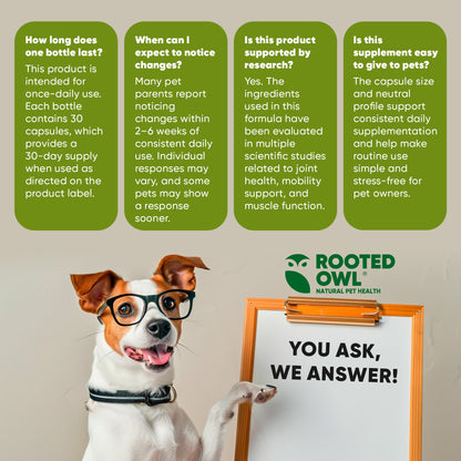 Dog with glasses holding a sign with 'Rooted Owl' and product information.