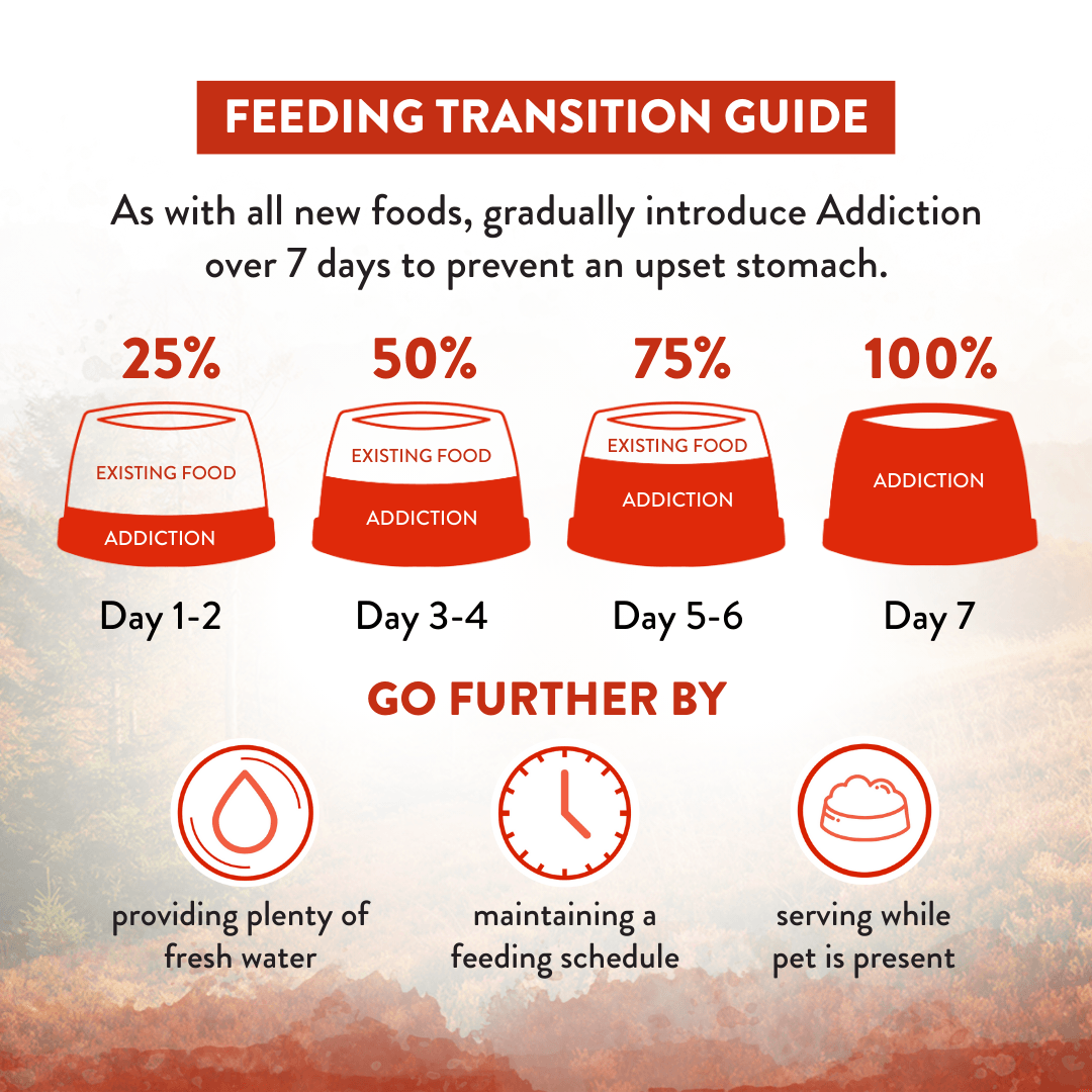 Feeding transition guide for 'Addiction' over 7 days with corresponding actions.