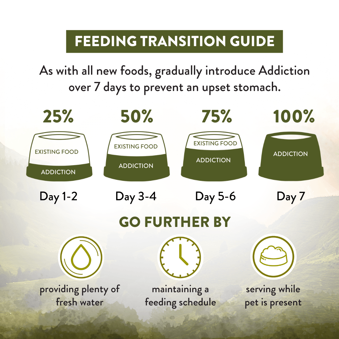 Feeding transition guide for introducing a new food to pets over 7 days with corresponding icons and text.